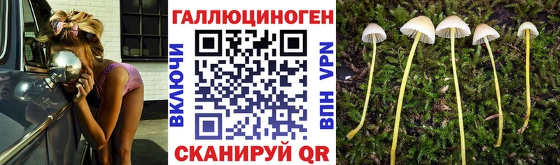 где купить наркоту Нелидово Псилоцибиновые грибы ЛСД